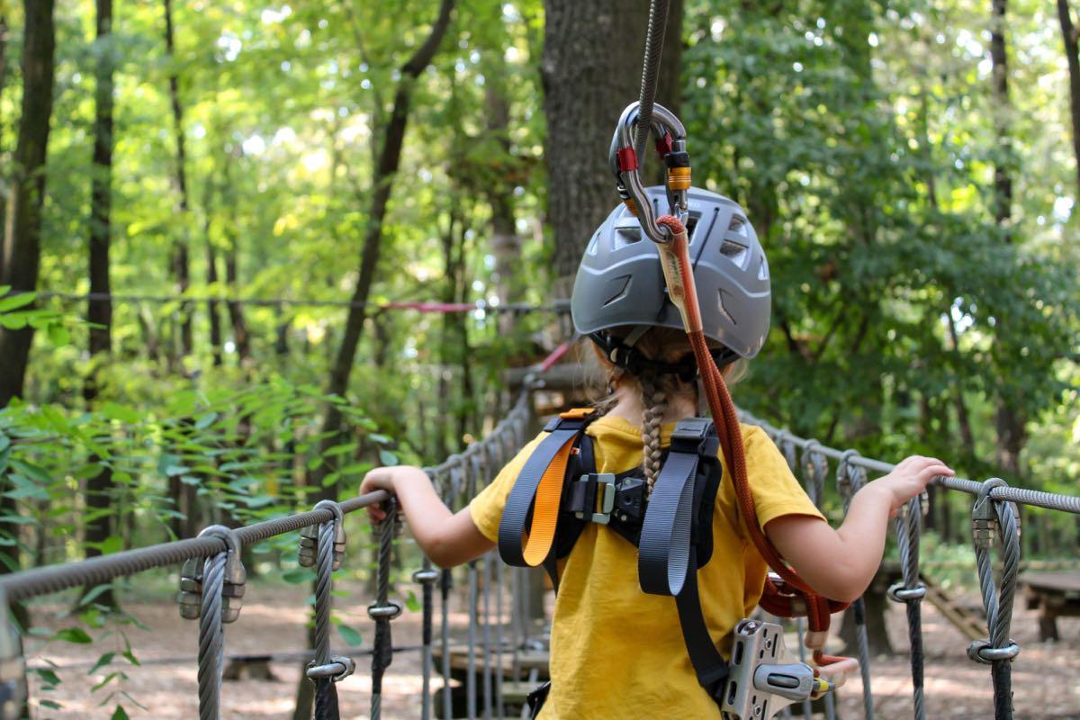 Erdei kötélpálya rendszer