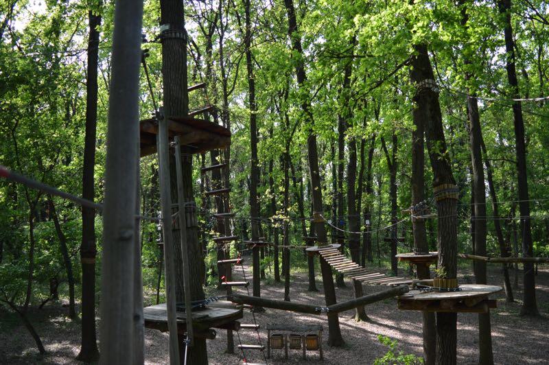 Tanösvény a tölgyesben